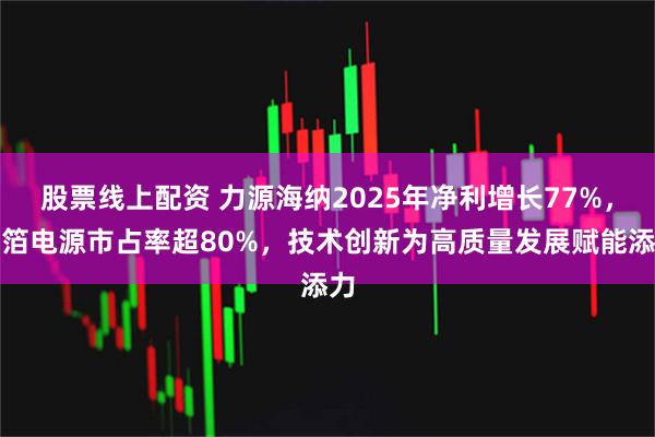 股票线上配资 力源海纳2025年净利增长77%，铜箔电源市占率超80%，技术创新为高质量发展赋能添力